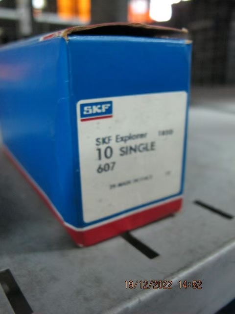 SKF Photo 81